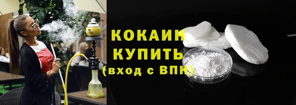 прущие грибы Осинники