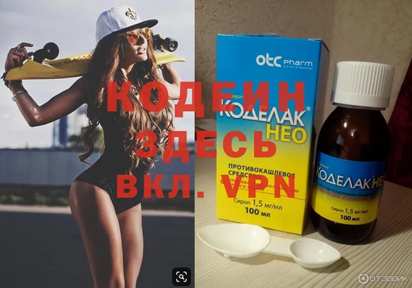 крисы Абаза