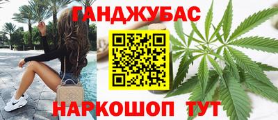 сатива Моздок