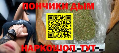 сатива Моздок