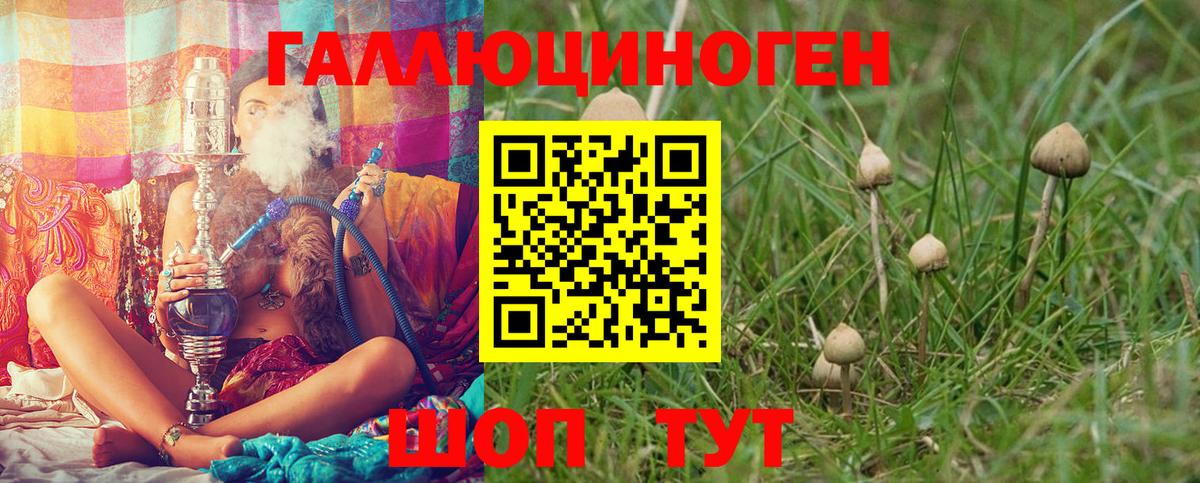 как найти закладки  Вход с VPN  Соликамск  Галлюциногенные грибы Cubensis 