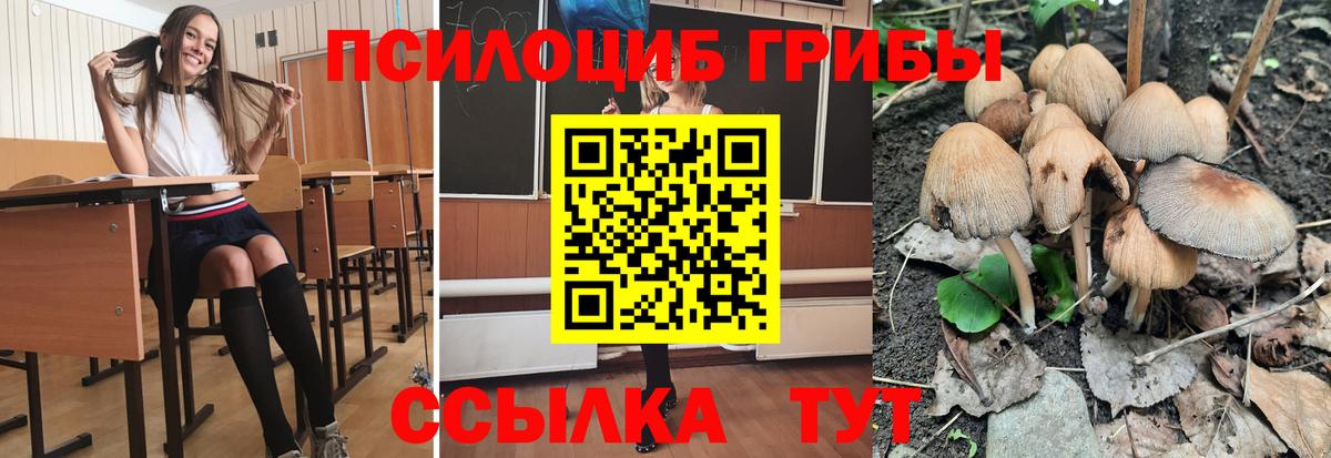 Галлюциногенные грибы мицелий Соликамск