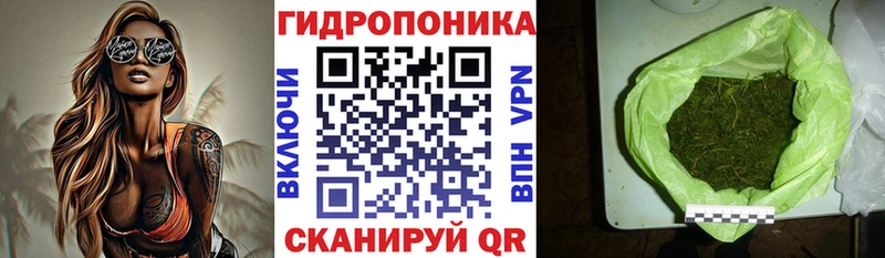 Конопля OG Kush Соликамск