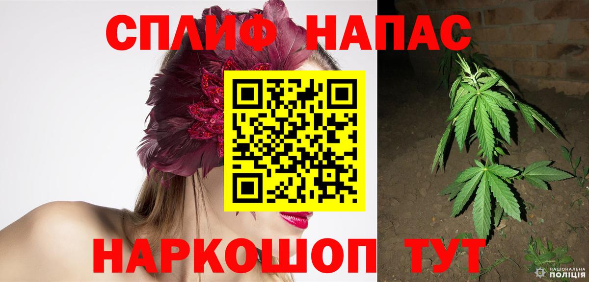 Шишки марихуана семена  Каннабис план  Каннабис SATIVA & INDICA  Вход с VPN  Бошки Шишки MAZAR  Соликамск 